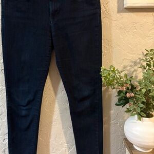 Banana Republic Dark Skinny Jeans